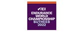 Logo_FEI Endurance